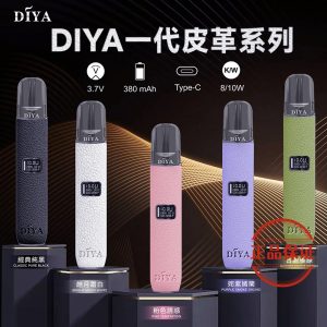 DIYA 叮啞 皮革一代主機：圖片 5