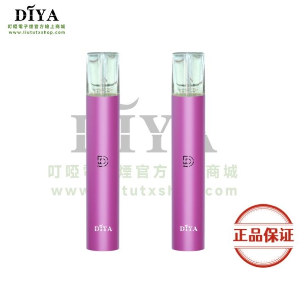 DIYA 叮啞一代主機