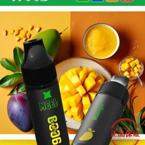 MEEL 9000口 拋棄式電子煙：圖片 4