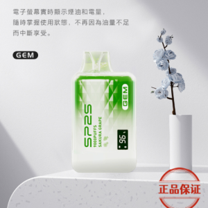 SP2S GEM 9000口 拋棄式電子煙：圖片 10