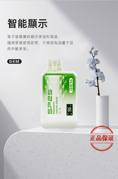 SP2S GEM 9000口 拋棄式電子煙