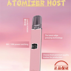 DIYA 叮啞 皮革一代主機：圖片 4