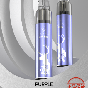 SP2S 聖誕限定主機：圖片 7